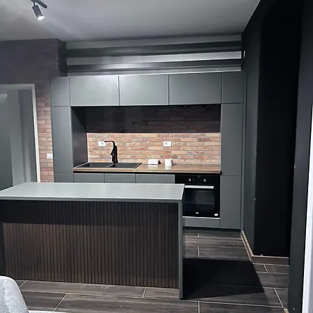 Aksionistia Apartament דירה *